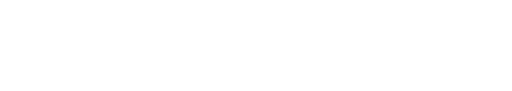 DocsBrainlead Logo